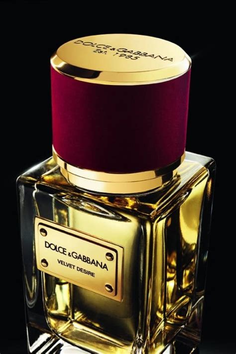 caravan dolce gabbana|dolce and gabbana velvet perfume.